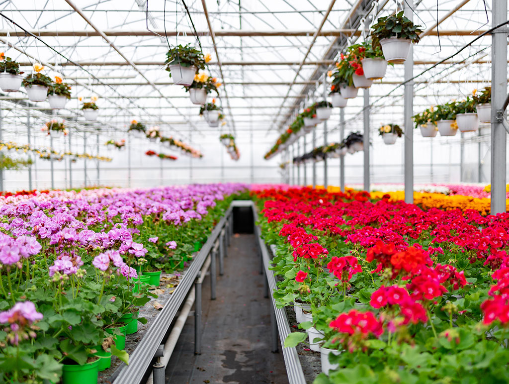 Streamlining Your Back Office Streamlining Your Back Office